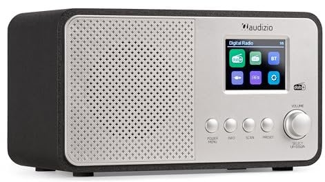 Audizio Avio DAB Digital Radio with Bluetooth, FM, DAB+, USB & AUX Input, 20 Presets, 2.4 Inch Colour Display, Alarm Clock & Sleep Timer, 30W - Silver