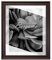BIRAPA Bergamo Bilderrahmen vintage Holz- Optik - Bilder Rahmen 40x70cm - Fotorahmen Glas antireflex Plexiglasscheibe - Wanddeko Fotowand Fotogeschenke