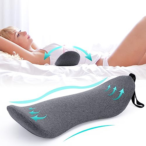 EUBSWA Lendenkissen Orthopädisches, Memory-Schaum Lendenkissen zur Linderung von Lendenwirbel Rücken Schmerzen für Bett, Sofa, Auto, Bürostuhl