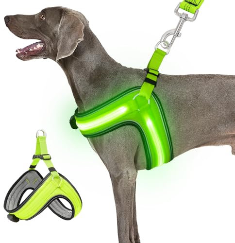 BiPawTi LED Hundegeschirr Leuchtend für Hunde,Aufladbar Leuchtgeschirr Hundeweste mit 3 Lichtmodi,Leuchtet Im Dunkeln Leuchtendes Geschirr Hund Groß, Praktisch Zubehör fürs Camping mit Hund, Grünlicht