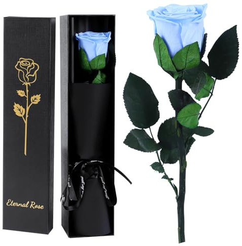 FRFG Vera Rosa Eterna Regalo Donna, Stabilizzata Vera Rosa con Steli Idee Regalo per Anniversario, Mamma, Donna Compleanno, San Valentino per Donne (Azzurro Chiaro)