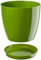 B2C Plant Pot Flower 20 Colours 9 sizes Gloss Plastic Plant Pots Planter Saucer Tray Deco (20 cm/ 7.9 inch, Green)