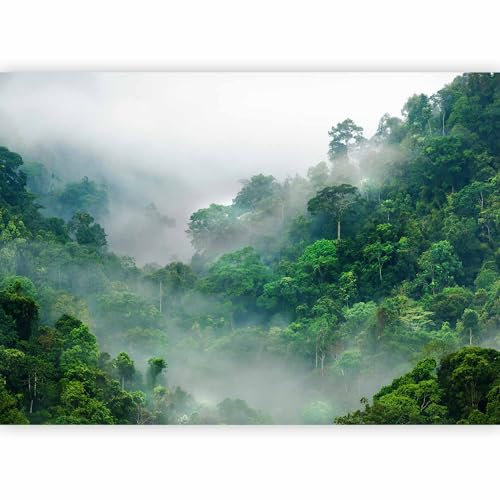 murando - Photo Wallpaper Jungle 343x256 cm / 135x97 - Peel and Stick Self-Adhesive Foil Print Wall Mural Decoration Picture Design Modern - Sky Nature Forest Fog Green Trees c-B-0346-a-a