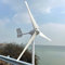 1500W Windkraftanlage Generator 24V 48V Windrad Stromerzeugung für den Heimgebrauch Windturbine Hohe Effizienz Windmühle (48V)