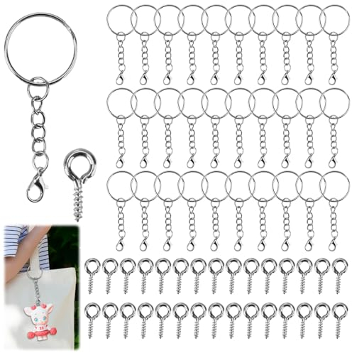 60 Stück Schlüsselring mit Kette, Schlüsselanhänger Basteln Set Karabinerverschluss 25mm Schlüsselringe für Schlüssel Handwerk DIY (30 Schlüsselanhänger Ringe Kette +30 Schrauböse Pins)