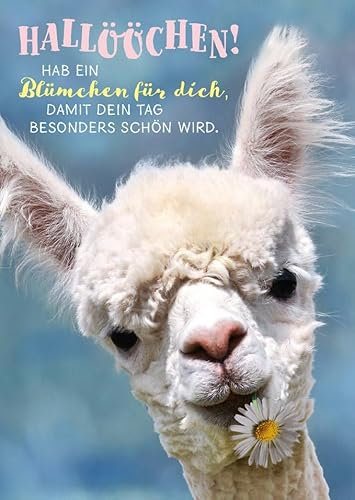 Tier-Postkarte mit süßem Lama und Blümchen – Perfekt für jeden Anlass, um jemanden zu erfreuen und den Tag zu verschönern – Hochwertiger Druck auf stabilem Papier