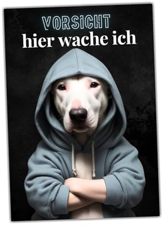 siviwonder Hundeschild Schild Vorsicht Bullterrier Dog Spruch Türschild Warnschild Hund Hier wache ich Geschenkidee lustiger Spruch Hundemotiv Aluminium Wetterfestes Hundeschild