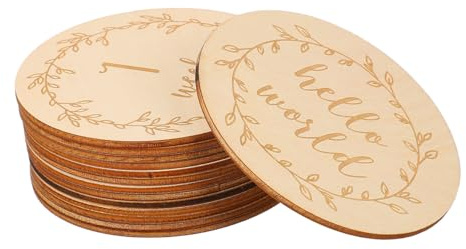 LABRIMP 14pièces Jalon De Lot de Disques pour Cartes Photos Garçon Fille Décoration De Fête De Cartes Jalon Disques