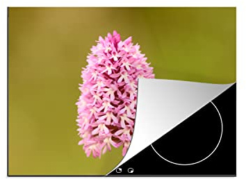 MuchoWow© Herdabdeckplatte Ceranfeld Spritzschutz Küche Blumen | 65x52 cm - Orchidee - Rosa Induktionsherd Abdeckung Induktionskochfeld Ceranfeldabdeckung