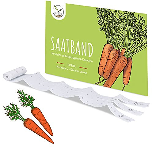 5m Semi di carota a nastro (Nantaise 2 - Daucus carota) - Carote succose e croccanti ideali per la coltivazione in giardino, sul balcone e nell'orto