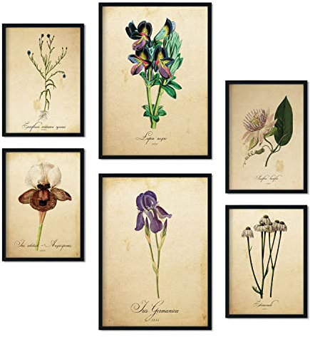 Nacnic-Set von 6 Vintage-Blumen-Poster. Sammlung von Platten mit ästhetischer Collage für Innendekoration. Größen A3 und A4. Rahmenlos
