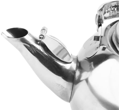 ZAMETTER Tetera gruesa de acero inoxidable, hervidor de té listo para inducción para té de hierbas de frutas e infusión, boquilla antigoteo (1 L), 8450JR6360M5X87J589TG75U2YW75