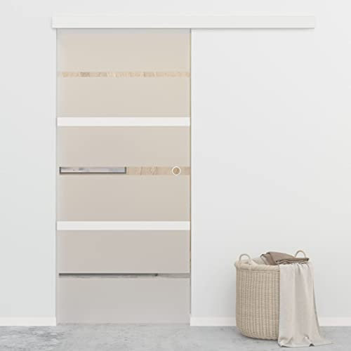 Sufrk Schiebetür ESG-Glas und Aluminium 90x205 cm Silbern GlastüRen Innen FalttüRen