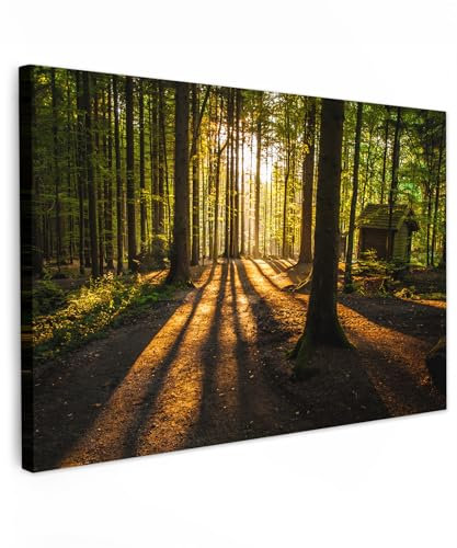 MuchoWow© Leinwand 60x40 cm Deko Schlafzimmer Aesthetic Leinwandbilder Wohnzimmer Gemälde Foto Geschenk Living Room Decoration Wandbilder Bild Wald - Sonne - Bäume - Landschaft - Natur