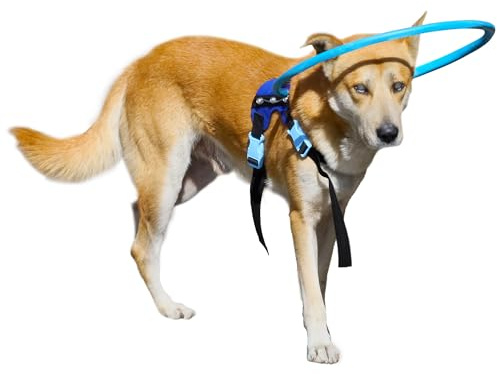 LetPetRun Blind Dog Halo Harness, Protective Halo Dog Collar for Blind Dogs, Confidence Building Harness Guiding Device, Blind Dog Accessories, Medium
