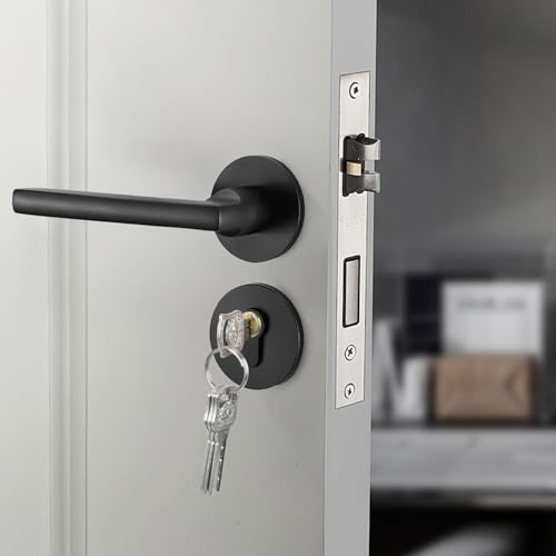 FALSKT Poignée de Porte Acier Inoxydable avec 4 Clés