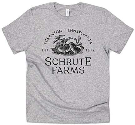 Sanfran Clothing Schrute Farms Bed & Breakfast Funny The Office US Dwight Michael Scott T-Shirt Small/Light Grey