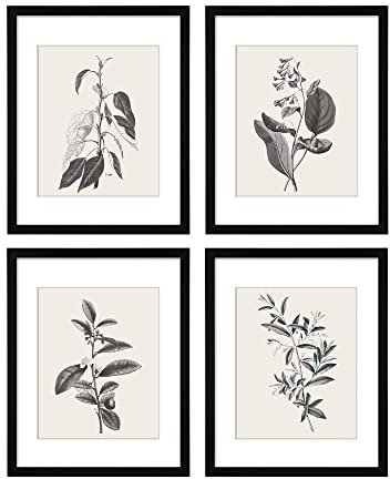 ArtbyHannah 4er Set Bilderrahmen, schwarz 28x35cm, mit Acrylglas zum Aufhängen, Holzrahmen mit botanischer Wandkunst und Pflanzenpostern für Wohnzimmer & Küche, inkl. zusätzlichen Drucksets