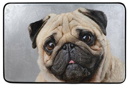 Use7 Fußmatte für den Innen- und Außenbereich, Mops-Motiv, 60 x 40 cm