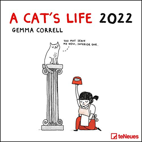 A Cat's Life 2022 - Wand-Kalender - Broschüren-Kalender - 30x30-30x60 geöffnet - Katzen - Cartoon