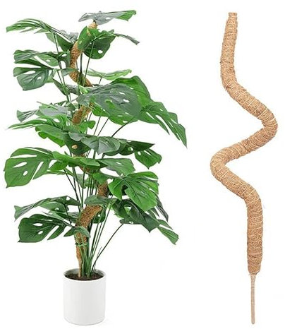 Tuteur Coco Pliable Bâton de Mousse de Coco avec pour Monstera Creepers Plantes Grimpantes Tuteurs en Fibre de Coco Monstera Tuteur Plante Grimpante Intérieur pour Plante Monstera Maison Jardin (60cm)