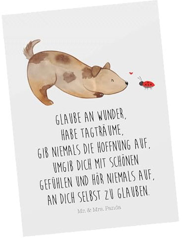Mr. & Mrs. Panda Postkarte Hund Marienkäfer - Geschenk, Einladung Geburtstag, Hundebesitzer, Mischling, Haustier, Geburtstagskarte, Hunderasse,
