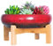 ARTKETTY Große runde saftige Pflanzgefäß mit Ständer, Vintage Keramik glasierte Bonsai Topf mit Mess Drainage Bildschirm, dekorative Garten Moderne Kaktusblume Pflanzgefäß Behälter Schüssel (Red)