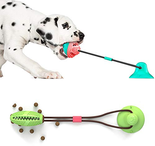 Fitwish Ototon Jouet à MâCher Ventouse Chien Molaire Multifonction Jouet à Tirer avec Brosse à Dents pour MâCher Nettoyage Jouer (C)