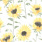 Catherine Lansfield Painted Sunflowers Wallpaper Yellow