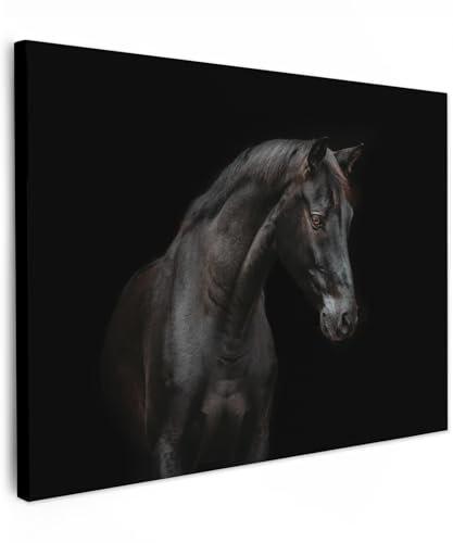 MuchoWow© Wandbilder 40x30 cm Schlafzimmer Home Deko Wohnung Bild Wohnzimmer Fotoleinwand Wand Bilder Leinwand Wall Decor Pferd - Tiere - Schwarz - Porträt