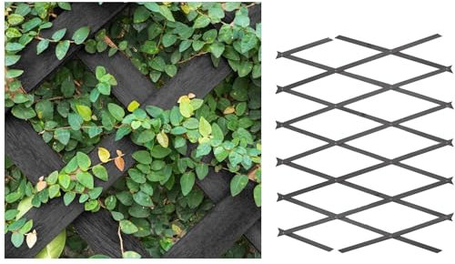 AQS INTERNATIONAL - Expanding Midnight Grey Wooden Trellis - Expandable Garden Trellises, Wall Plant Climbing, Wall Trellis Panel, Lattices Trellis Vine Crepe, Garden Fence Panel (90x180cm (3ftx6ft))