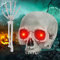 Halloween Skelett Schädel und Arme Dekoration - Totenköpfe für Outdoor und Garten
