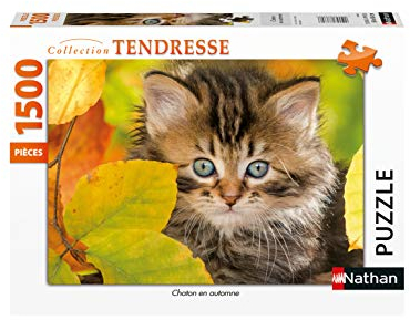 Nathan Puzzle 1500 Teile Kätzchen im Herbst Erwachsene, 4005556878031