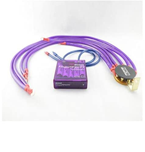 EGGPOD Regolatore di tensione raddrizzatore universale per auto risparmio carburante stabilizzatore di tensione regolatore messa a terra perno viola display digitale Mega Raizin (colore: raddrizzatore