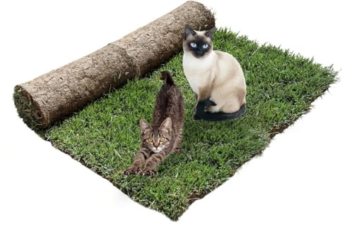 PetZolla Gatto Ricarica XL - Cuccia in vero prato con erba gatta 100X90 cm | Ricambio facile da sostituire per il Kit Petzolla XL, Cuccia per gatti da interno dura fino a 3 mesi - Made in Italy