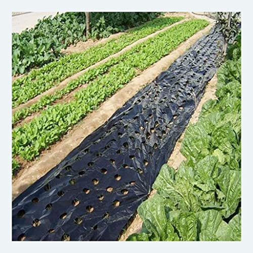 paillis， Film perforé for paillis plastique agricole 95 cm × 10 m PE noir, film isolant perforé
