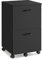 VASAGLE 2-Drawer Filing Cabinet, Mobile File Cabinet for Home Office, Small Rolling Filing Cabinet, Printer Stand, for A4, Letter-Size Files, Hanging File Folders, Matte Black OFC040B16