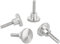 Ottertools - Rändelschraube DIN 464 | Gewinde: M4x10 mm | Edelstahl | 4 Stück
