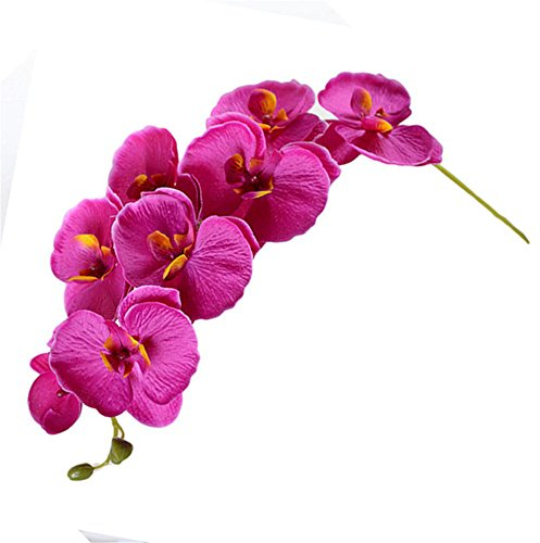 YLSZHY Ramo Singolo Simulato con Piccoli Fiori Artificiali di Decorazione Interna di Orchidee Phalaenopsis Fiore Finto in Plastica Artigianale Fiore Rosa per la Decorazione Domestica(#1)