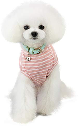 Pet Heroic Niedlicher Gestreifter Haustier Pullover Katze Pulli Kleine Hunde Pullover Kleiner Hund Pullover Welpe Pullover Hunde Klamotten Für Kleine Hunde Pink Rot Blau Grau - Gewicht 1.2-9.0 KG