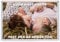 Personalised Valentine's Day Custom Photo Jumbo Fridge Magnet 96 x 67 mm