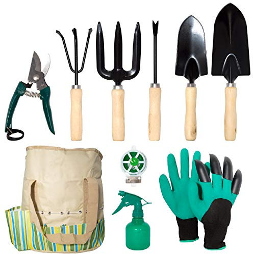 lyndeluxe Attrezzo da giardino 10 pezzi, set da giardino con custodia, strumento per piante ad alte prestazioni per uomini e donne