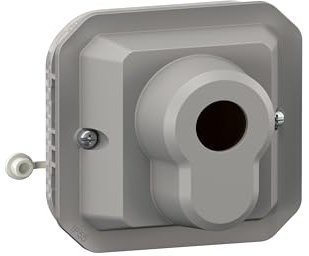 LEGRAND, Plexo New Einsatz, Jalousie Schlüsseltast DIN-Halbzylinder, 3 Positionen, Schraubklemmen, IP20 - IK07, Farbe: Grau, 069705L