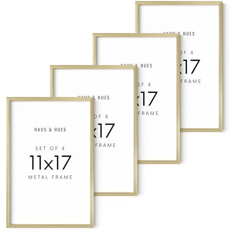 HAUS AND HUES Metall-Bilderrahmen, goldfarben, 27,9 x 43,2 cm, mit hochwertigem Aluminium, vertikaler und horizontaler Aufhängung, bruchsicheres Plexiglas, perfekt für Zuhause, Zimmer, Büro (27,9 x