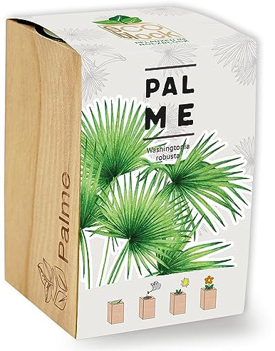 Feel Green ecoblock Palme, Nachhaltige Geschenkidee (100% Eco Friendly), Grow Your Own/Anzuchtset, Pflanzen im Holzblock, Made in Austria