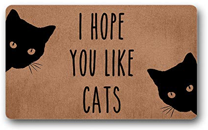 Indoor Outdoor Entrance Door Mat I Hope You Like Cats Durable Doormat Non Slip Bath Rug Decorative Patio Garage Garden Kitchen Door Mats Porch Gifts Mats 50x80cm