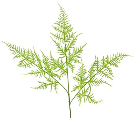 Decoris Künstlicher Asparagus Zweig 85cm - Kunstzweig Zierspargel - Zweige Dekozweige - Kunstblumen Spargelfarn Hochzeitsdeko Frühlingsdeko Osterdeko - Grün