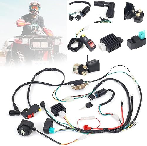 DEBBD Kabelbaum Loom Magnetspule CDI Quad Dirt Bike ATV für 50ccm 70ccm 90ccm 110ccm 125ccm