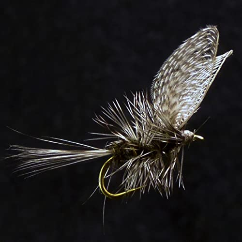 YAZHIDA | Fly Fishing Fly Fishing Set | Dry Fly | Wet | Nymph | One Mini Fly Box | (Wally Wing)