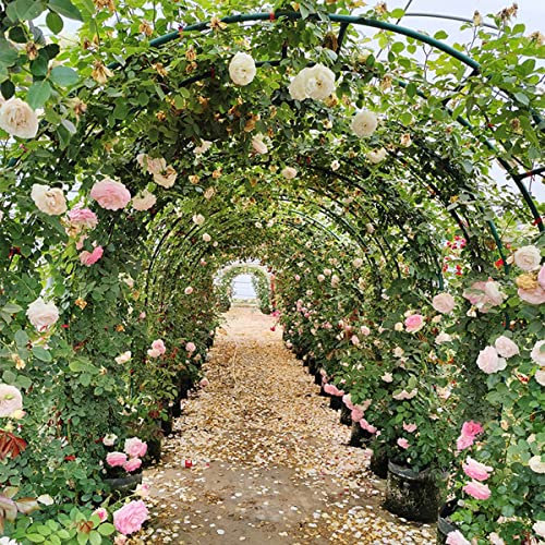 Pérgola de arco de metal extra grande y resistente para plantas trepadoras de interior y exterior, decoración de boda y cenador de jardín, resistente a la intemperie, arco negro (tamaño: 280 x 230 x 4